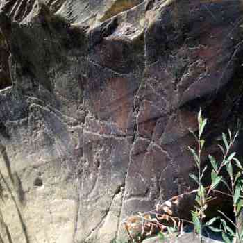 Click para ampliar. Pulsa en el nombre para ver la ficha. Siega Verde Panel 10